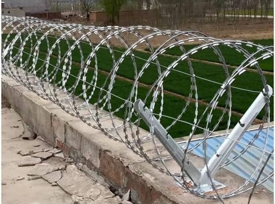 71mMQsBnjAL._AC_UF894,1000_QL80_